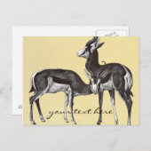 Vintage Springbok Postkarte (Vorne/Hinten)