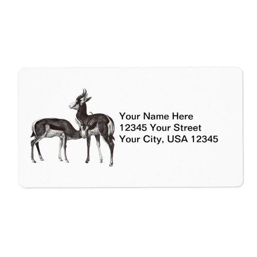 Vintage Springbok-Versandmarken (Vorne)