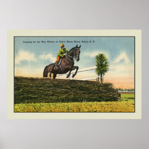 Vintage Springen Aikin SC Poster