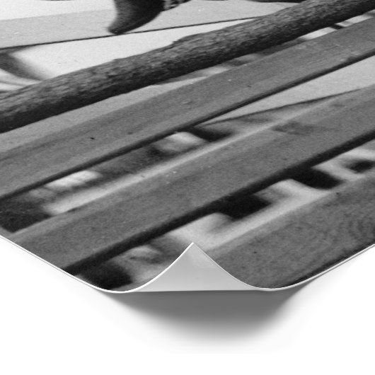 Vintage Springpferde Poster (Ecke)