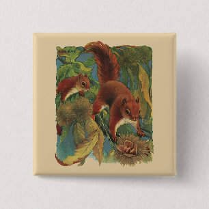 Vintage Squirrels, Forest Creatures, Wild Animals Button