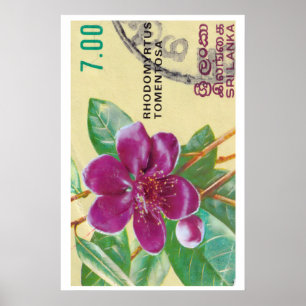 Vintage Sri Lanka Blumenprint - Postage Stam Poster