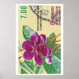 Vintage Sri Lanka Flower Print - Postage Stam Poster
