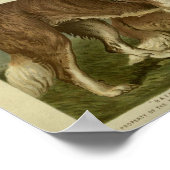 Vintage St Bernard Hunde - Illustration Poster (Ecke)