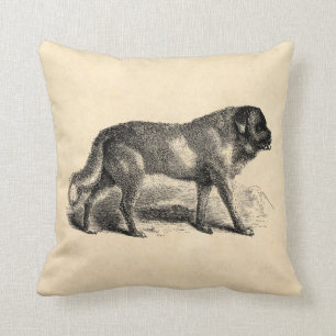 Vintage St. Bernhard Hund 1800er Sankt Bernhards H Kissen