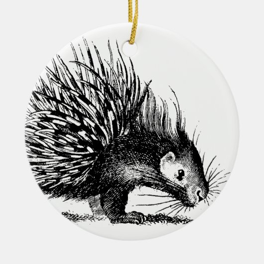 Vintage Stachelschwein-Illustration - Keramikornament (Vorne)