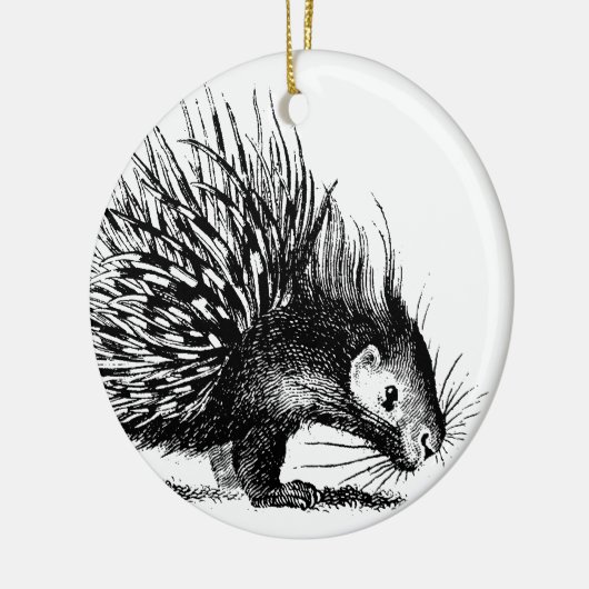 Vintage Stachelschwein-Illustration - Keramikornament (Links)