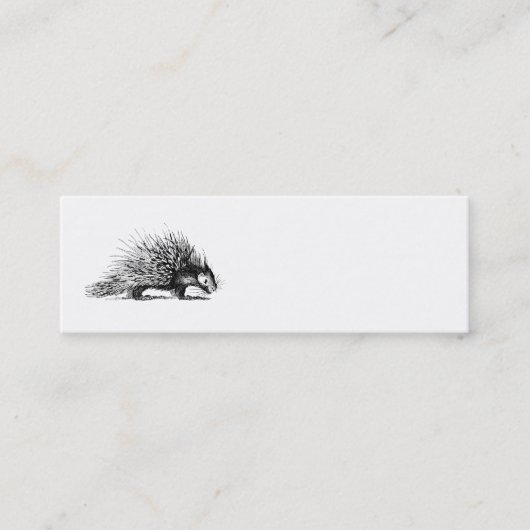 Vintage Stachelschwein-Illustration - Mini Visitenkarte (Vorderseite)