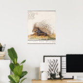 Vintage Stachelschwein Poster (Heimbüro)