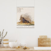 Vintage Stachelschwein Poster (Küche)