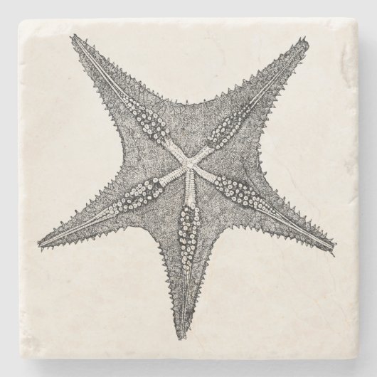 Vintage Starfish-Antiken-Stern-Fisch-Schablone Steinuntersetzer (Vorderseite)