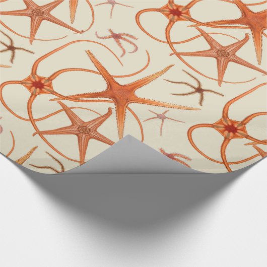 Vintage Starfish-Illustration Geschenkpapier (Ecke)