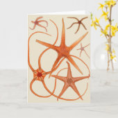 Vintage Starfish Illustration Karte (Gelbe Blume)