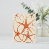 Vintage Starfish Illustration Postkarte (Stehend Vorderseite)