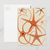 Vintage Starfish Illustration Postkarte (Vorne/Hinten)