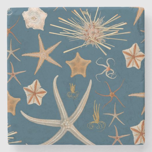 Vintage Starfish Steinuntersetzer (Vorderseite)