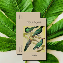 Vintage Starlings und Mynah-Vögel Kraft