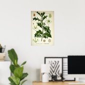 Vintage-Stechapfel-Botanik-Kunst Poster (Heimbüro)