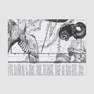 Vintage-Sternbild-Astronomie Seidenpapier