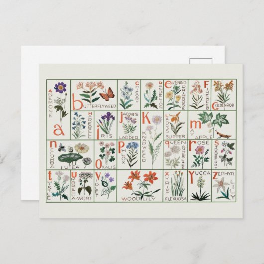 Vintage Stickmustertücher | WILDBLUMEN Postkarte (Vorne/Hinten)