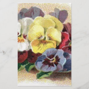 Vintage Stiefmütterchen Blumenbeete Briefpapier