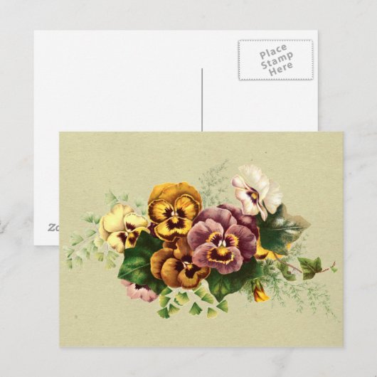 Vintage Stiefmütterchen Bouquet Postkarte (Vorne/Hinten)