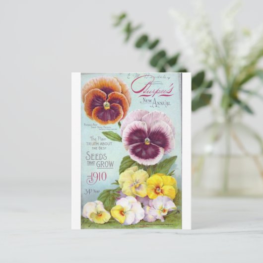 Vintage Stiefmütterchen Postkarte (Stehend Vorderseite)