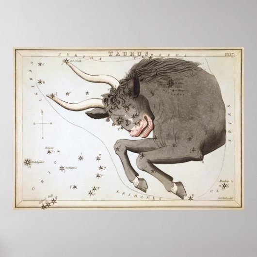 Vintage Stier-Sternbild-Karte (1825) Poster (Vorne)
