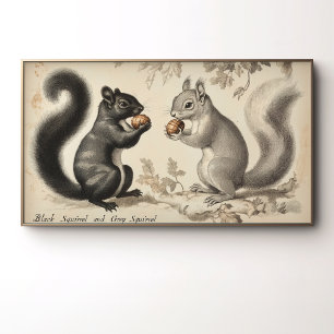 Vintage-Stil Schwarzes Eichhörnchen und Graues Eic Poster