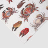 Vintage stilisierte Krebse und Kräuterschnecken Seidenpapier (Ausschnitt)