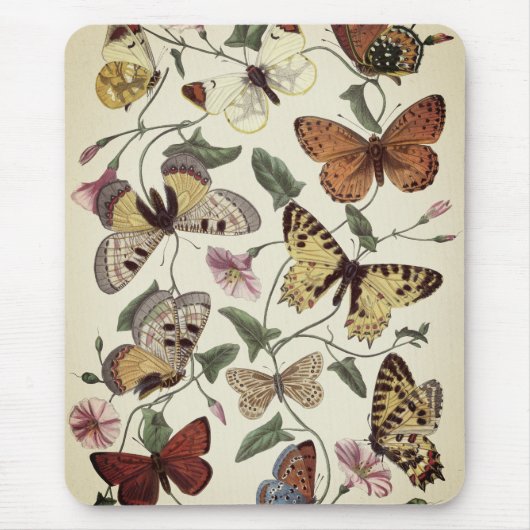 Vintage Stilschmetterlinge und Mottenmalerei Mousepad (Vorne)