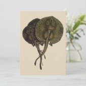 Vintage Stingrochen, Meerestiere (Stehend Vorderseite)