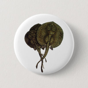Vintage Stingrochen, Meerestiere Button