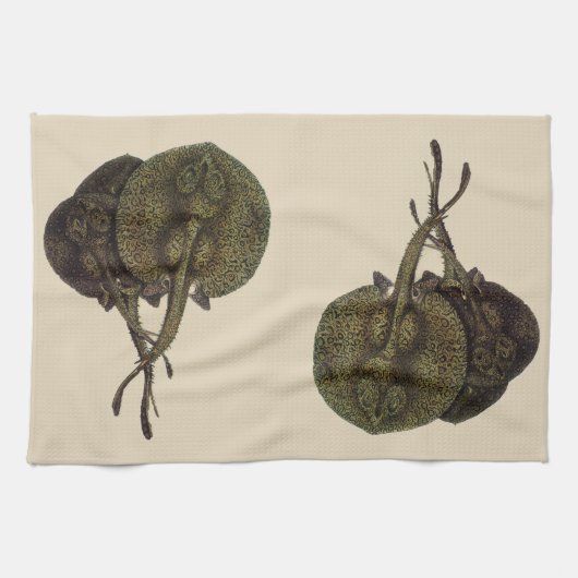 Vintage Stingrochen, Meerestiere Geschirrtuch (Horizontal)