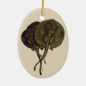 Vintage Stingrochen, Meerestiere Keramik Ornament (Vorne)