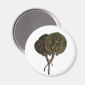 Vintage Stingrochen, Meerestiere Magnet (Vorderseite/Rückseite)