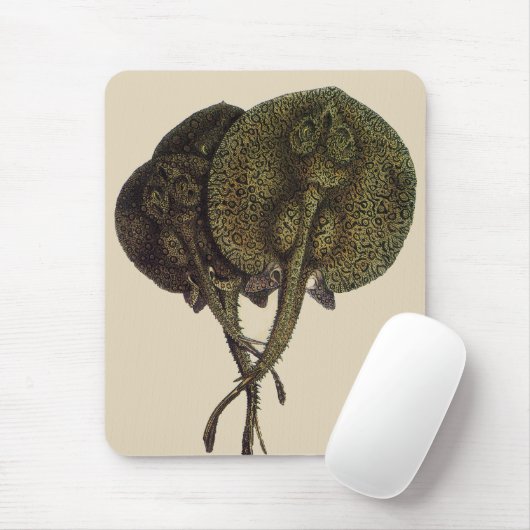 Vintage Stingrochen, Meerestiere Mousepad (Mit Mouse)