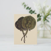 Vintage Stingrochen, Meerestiere Postkarte (Stehend Vorderseite)