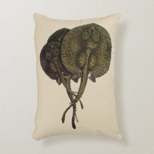 Vintage Stingrochen, Meerestiere Zierkissen