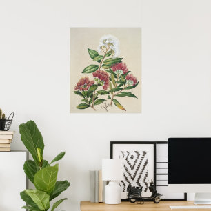 Vintage Strauchblüte Poster