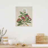 Vintage Strauchblüte Poster (Küche)