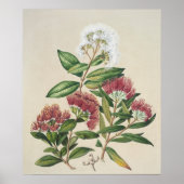 Vintage Strauchblüte Poster (Vorne)