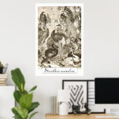 Vintage StraußenIllustration Struthio camelus Poster (Heimbüro)