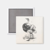 Vintage Straußenvögel Personalisierte Vögel Strauß Magnet (Vorderseite/Rückseite)