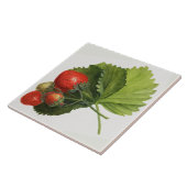 Vintage Strawberry-Illustration Fliese (Seite)