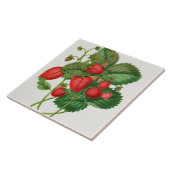 Vintage Strawberry-Illustration Fliese (Seite)