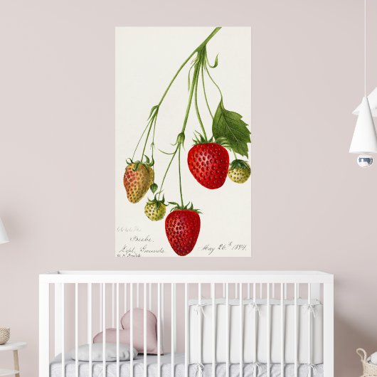 Vintage Strawberry-Illustration Poster (Kinderzimmer 2)