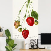 Vintage Strawberry-Illustration Poster (Heimbüro)