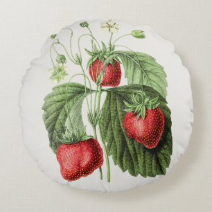 Vintage Strawberry-Illustration Rundes Kissen