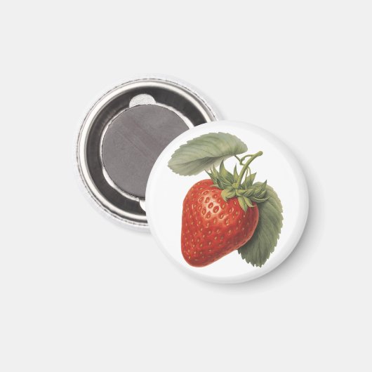 Vintage Strawberry  Magnet (Vorderseite/Rückseite)